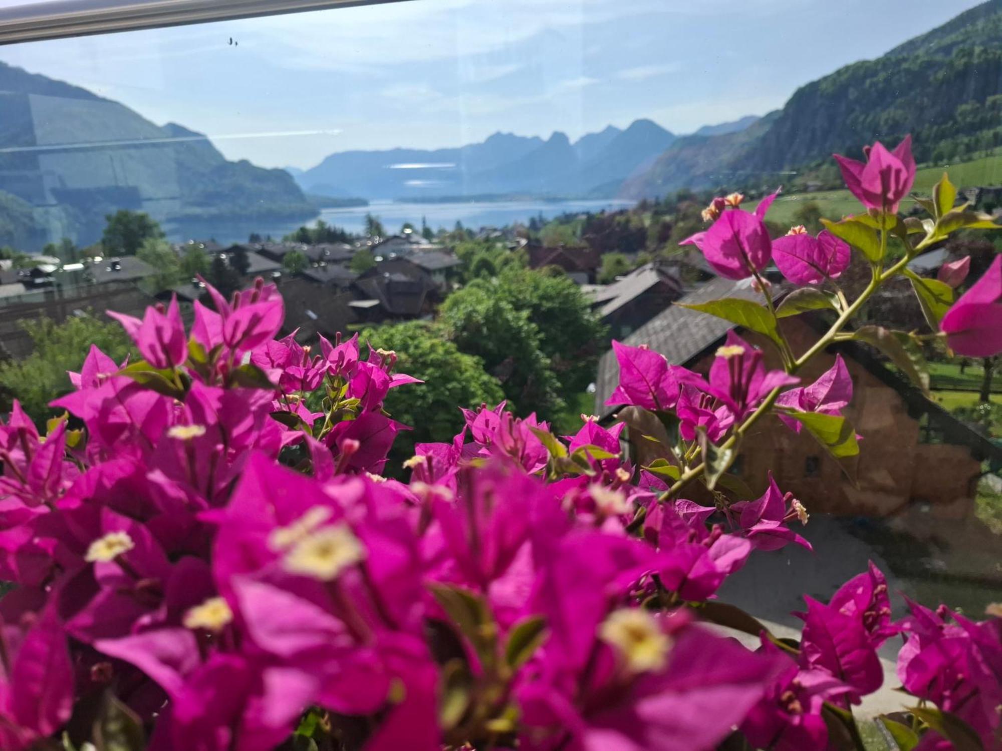 Traum Blick Sankt Gilgen Appartement Buitenkant foto